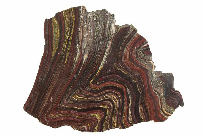 Polished Tiger Iron Stromatolite Slab - Billion Years #222949